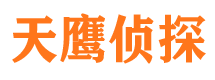 苏仙市侦探公司